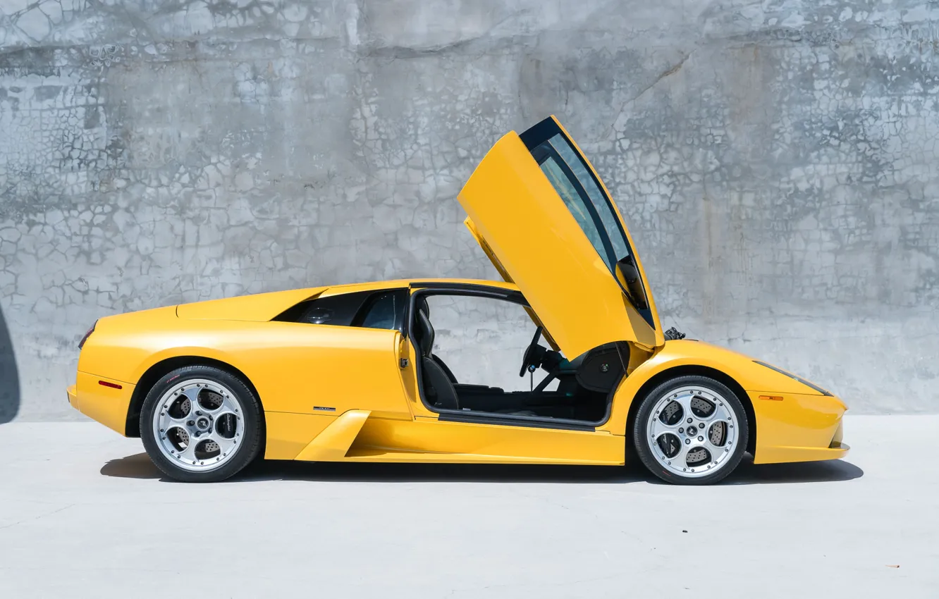 Photo wallpaper Lamborghini, supercar, Lamborghini Murcielago, Murcielago, lambo