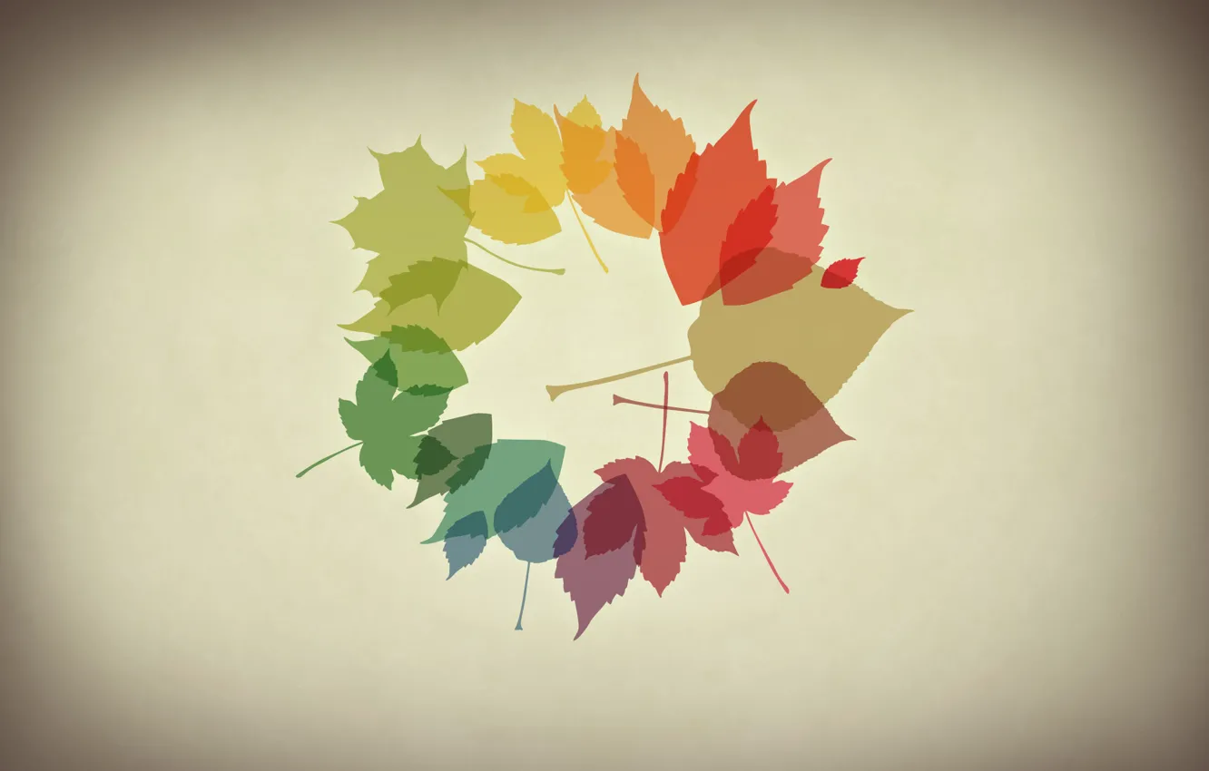 Photo wallpaper autumn, leaves, minimalism