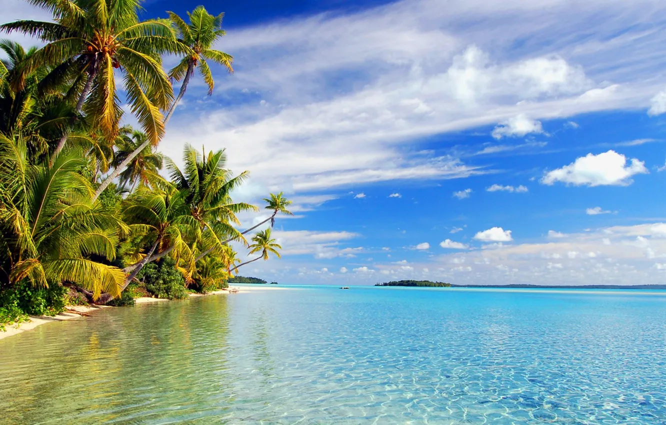 Photo wallpaper sea, beach, palm trees