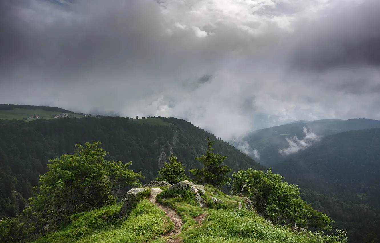 Photo wallpaper clouds, mountains, vegetation, path, Summer's fog