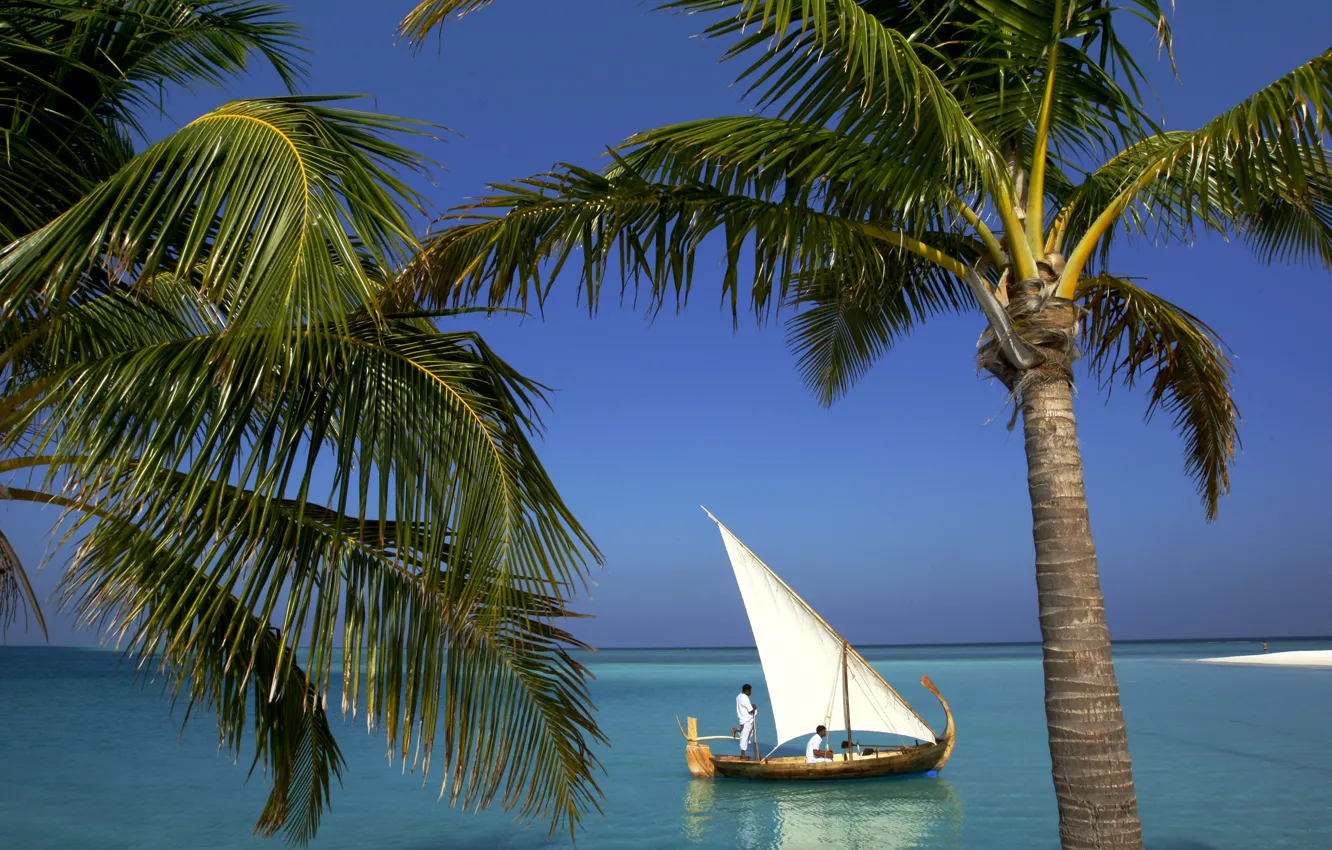 Photo wallpaper tropics, palm trees, the ocean, boat