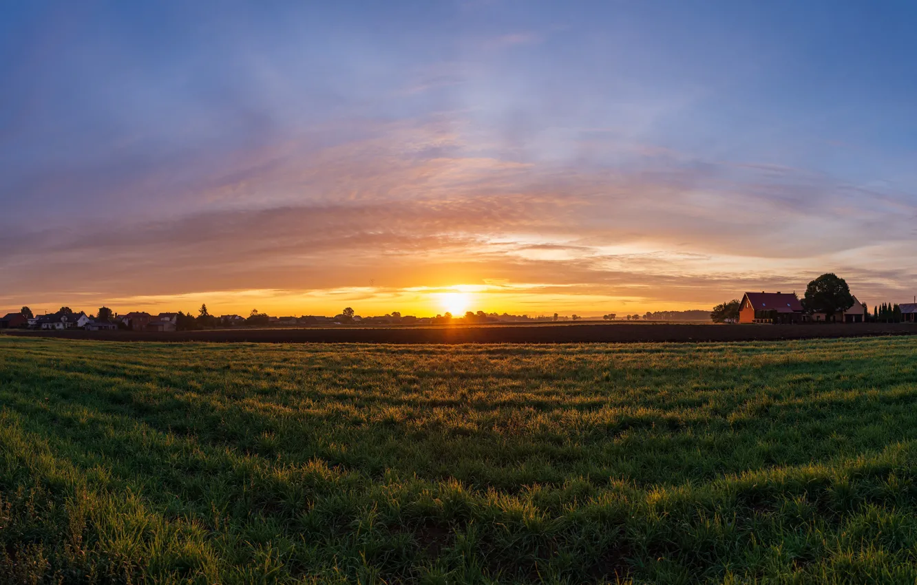 Photo wallpaper grass, sky, field, landscape, nature, clouds, sun, houses
