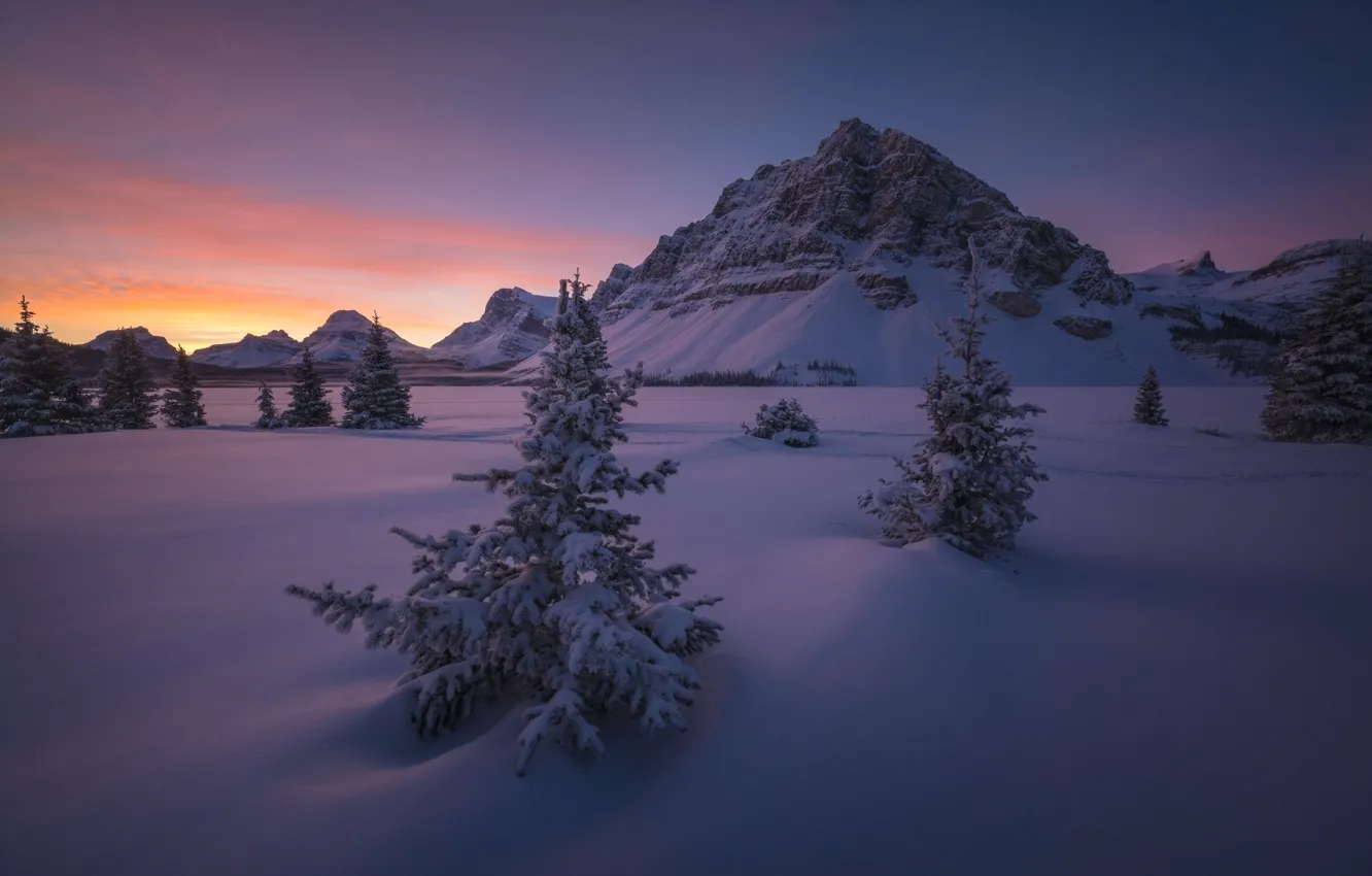 Photo wallpaper snow, mountains, dawn, morning, ate, Canada, Albert, Banff National Park