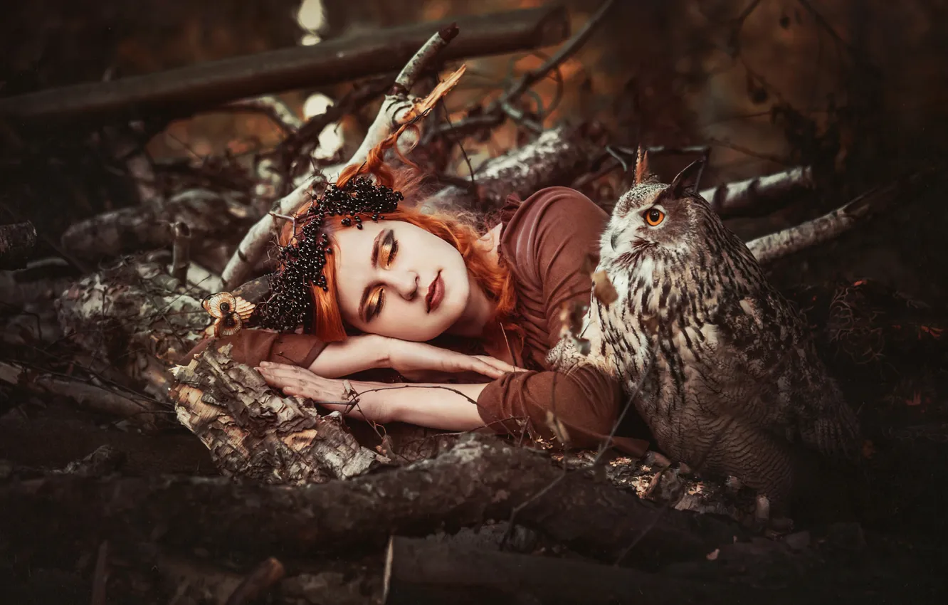 Photo wallpaper girl, style, owl, bird, sleep, sleeping, lies, cosplay