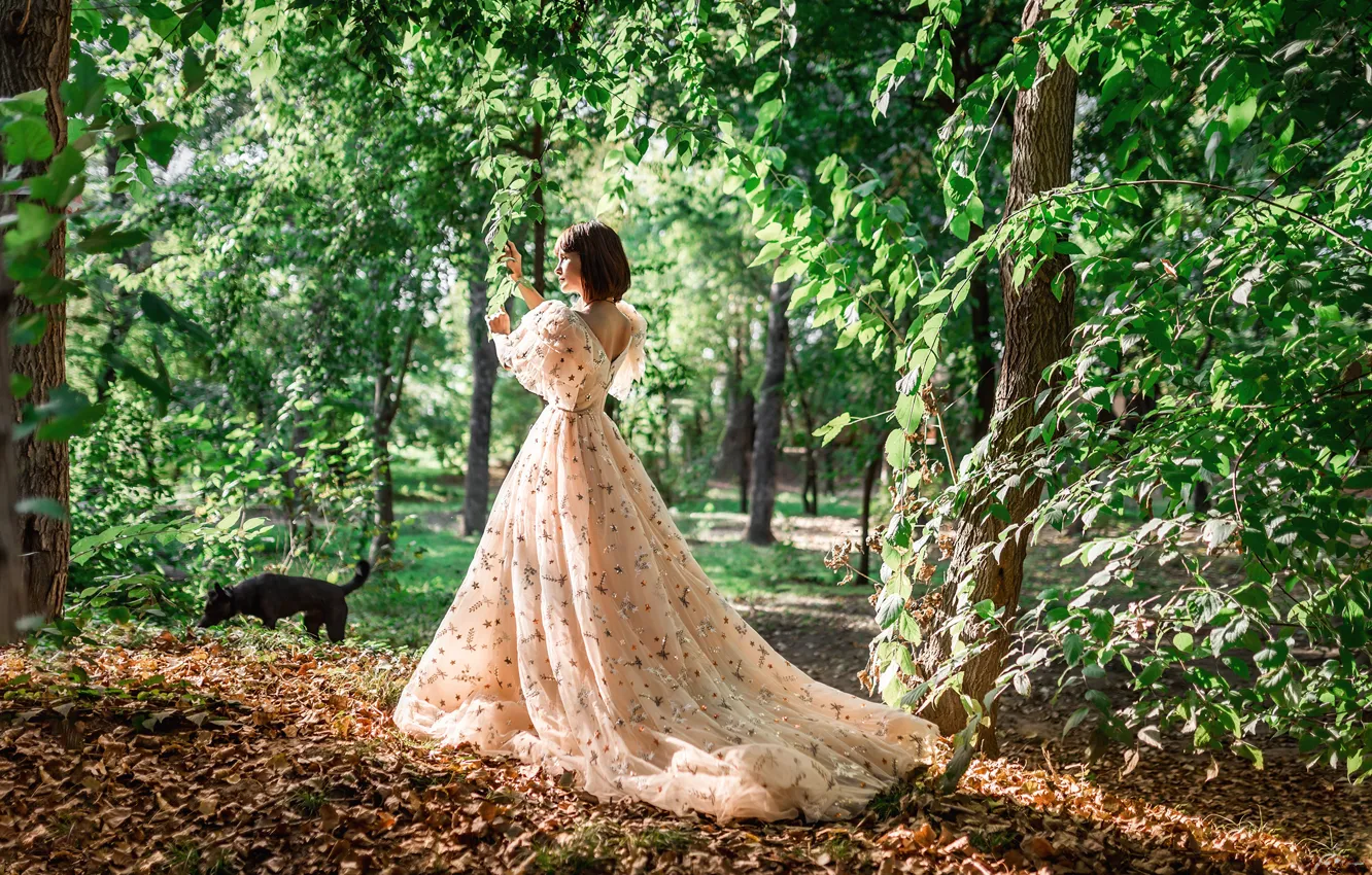 Photo wallpaper FOREST, LEAVES, DRESS, AUTUMN, FOLIAGE, DOG, Photographer Georgy Dyakov