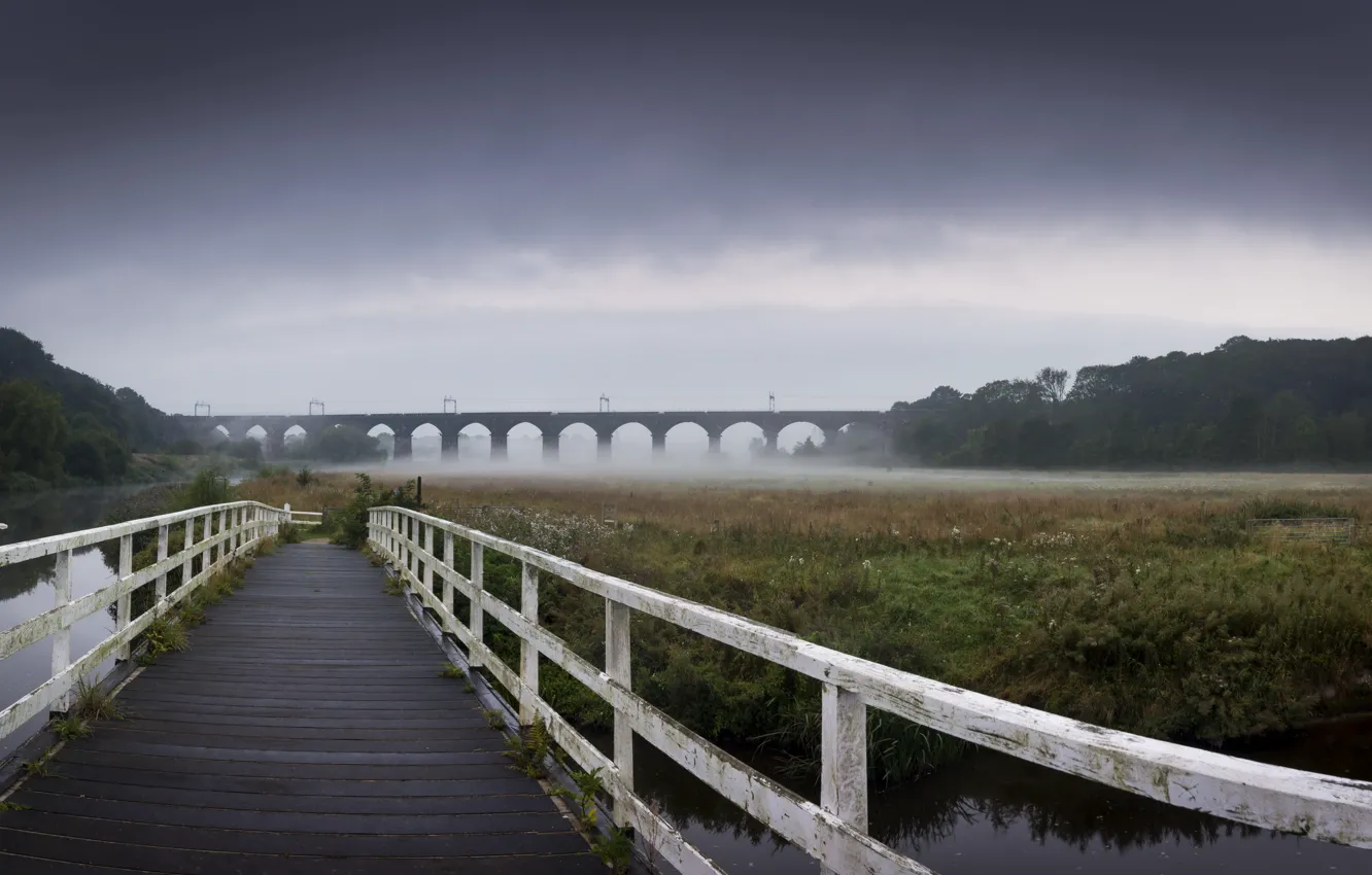 Photo wallpaper bridge, nature, fog