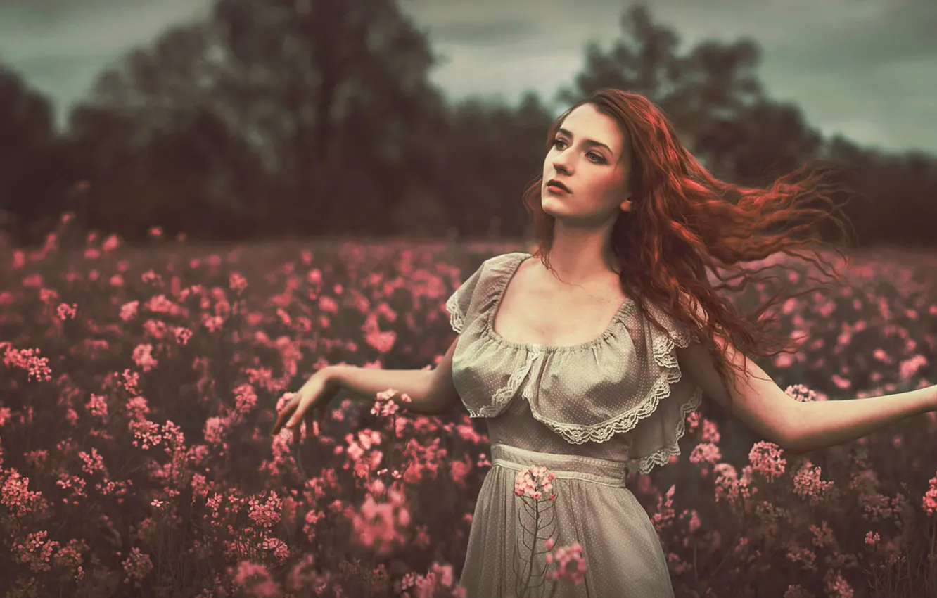 Photo wallpaper field, flowers, bokeh, the red-haired girl