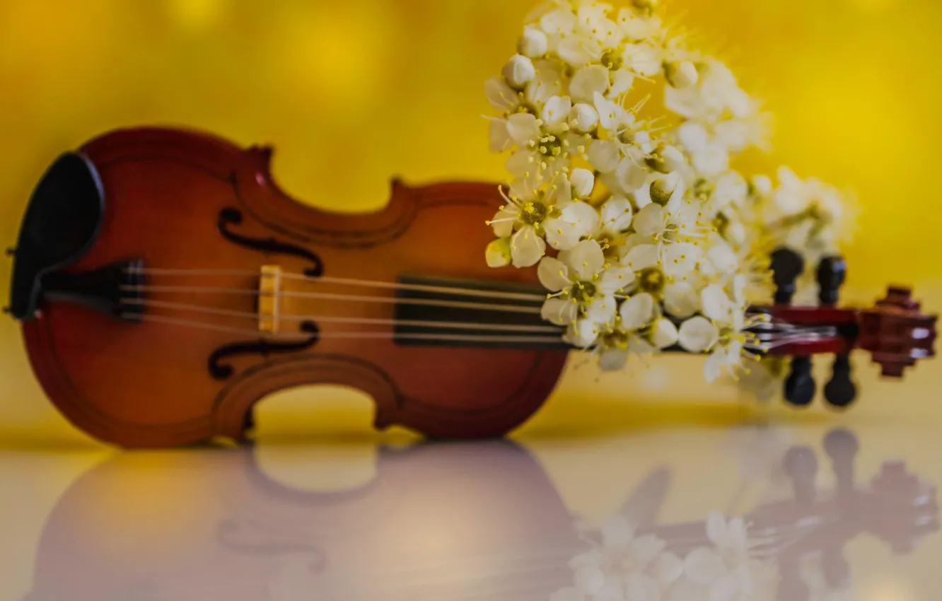 Photo wallpaper flowers, violin, spring, petals