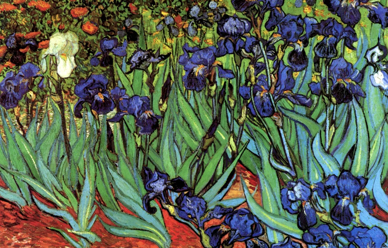 Photo wallpaper Vincent van Gogh, Irises, different colors
