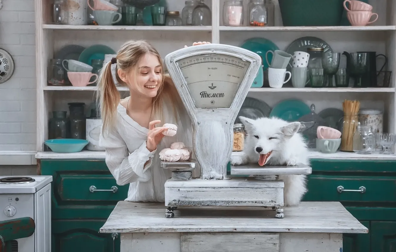 Photo wallpaper dog, girl, Libra, Andrey Vasilyev