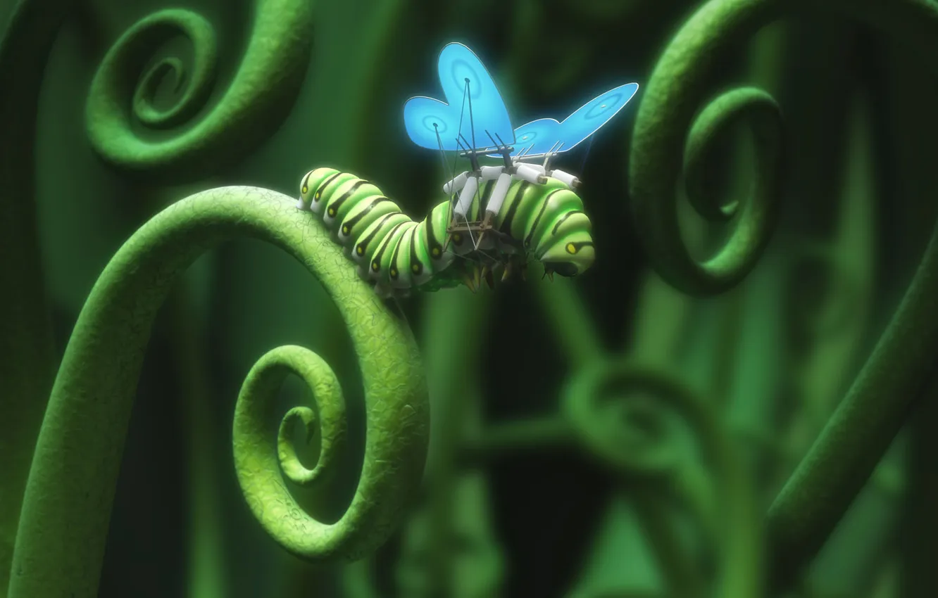 Photo wallpaper caterpillar, wings, Reckless Impatience