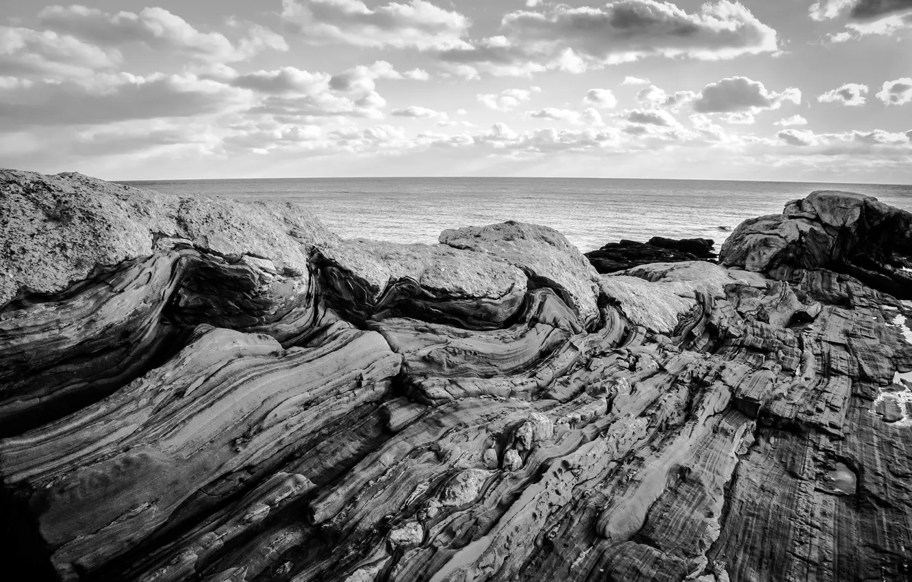Photo wallpaper the ocean, rocks, coast, black and white