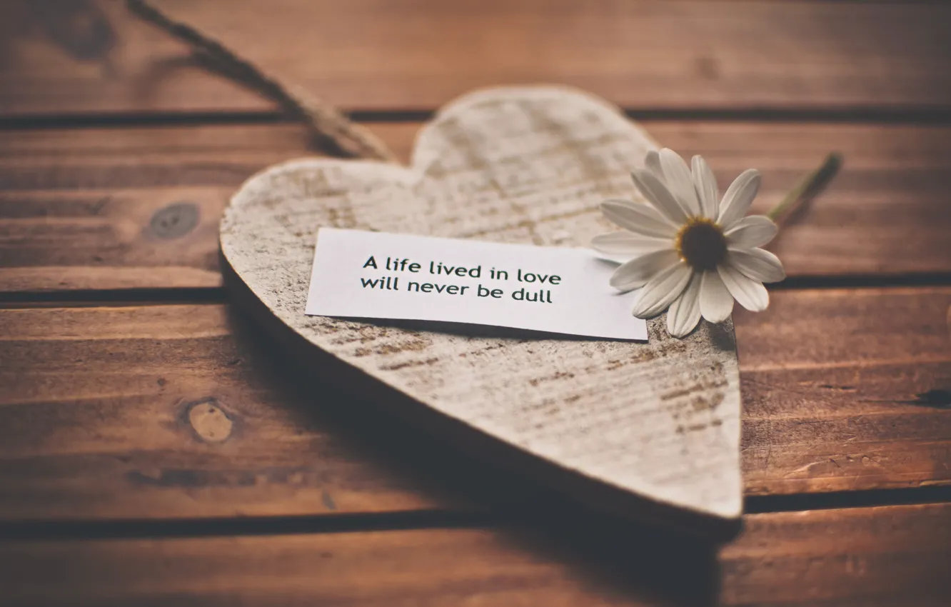 Photo wallpaper love, life, romance, heart, feelings, chamomile, words, recognition