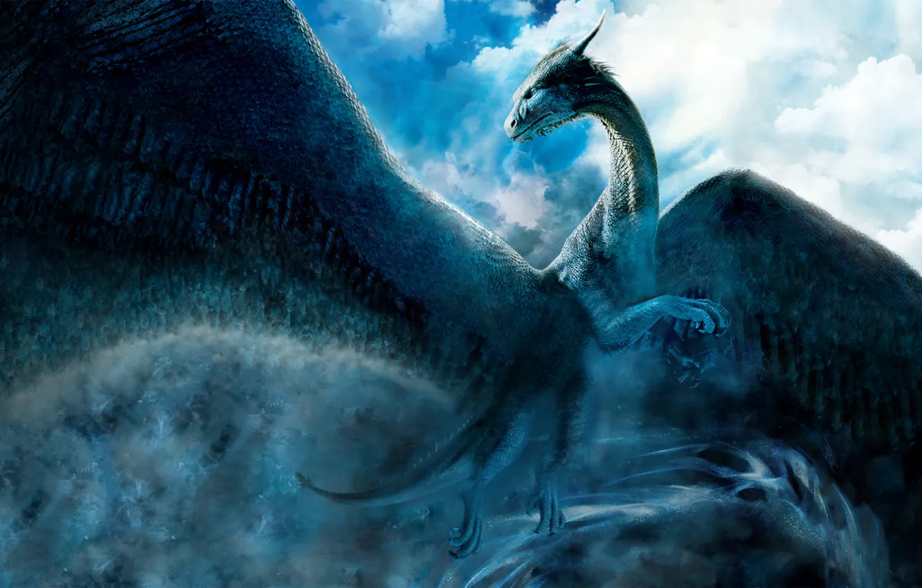 Photo wallpaper flight, dragon, wings, paws