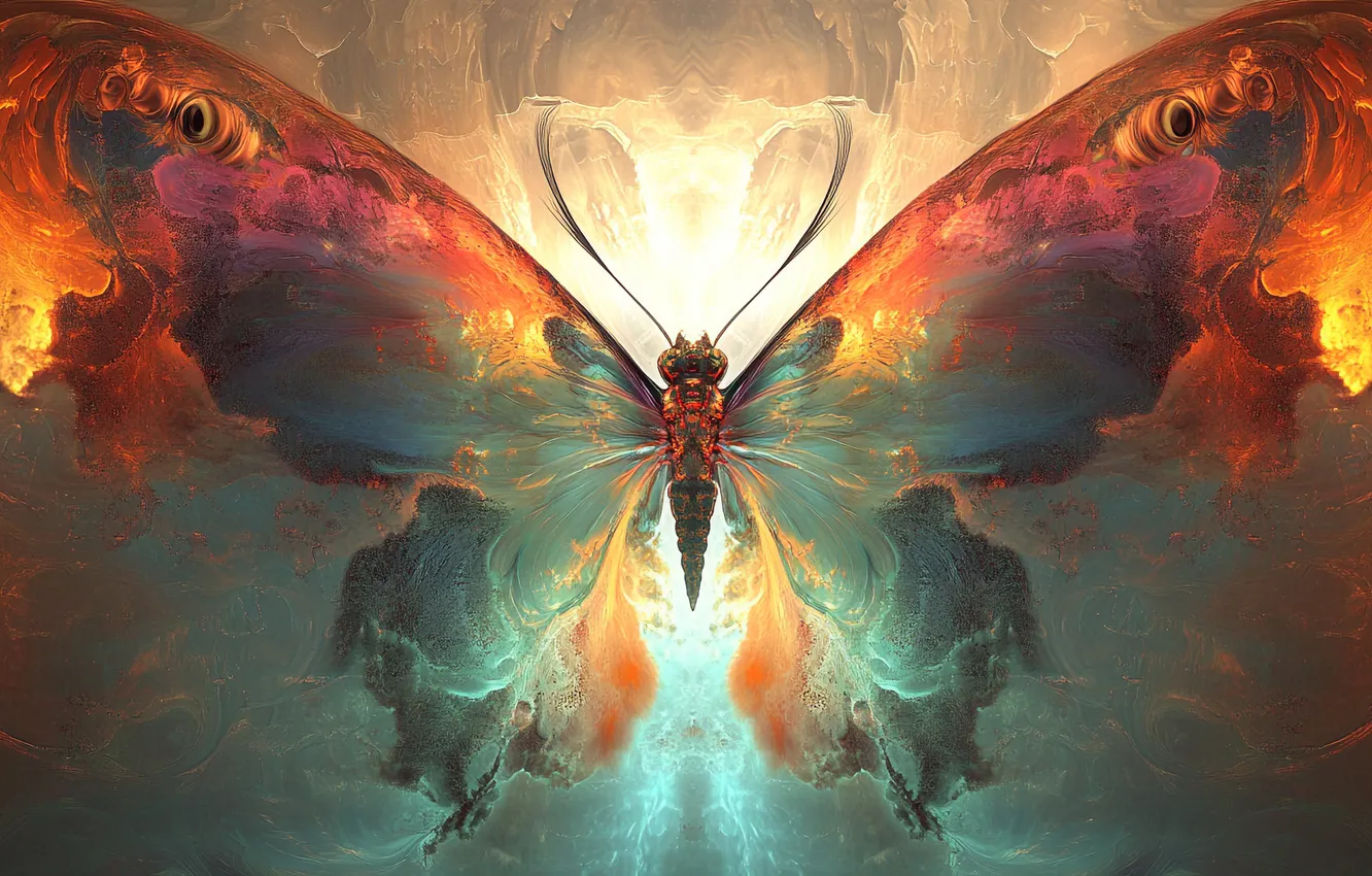 Photo wallpaper light, orange, green, butterfly, wings, divorce, insect, symmetry