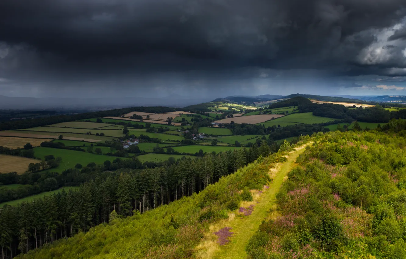 Photo wallpaper greens, field, forest, summer, the sky, grass, mountains, clouds