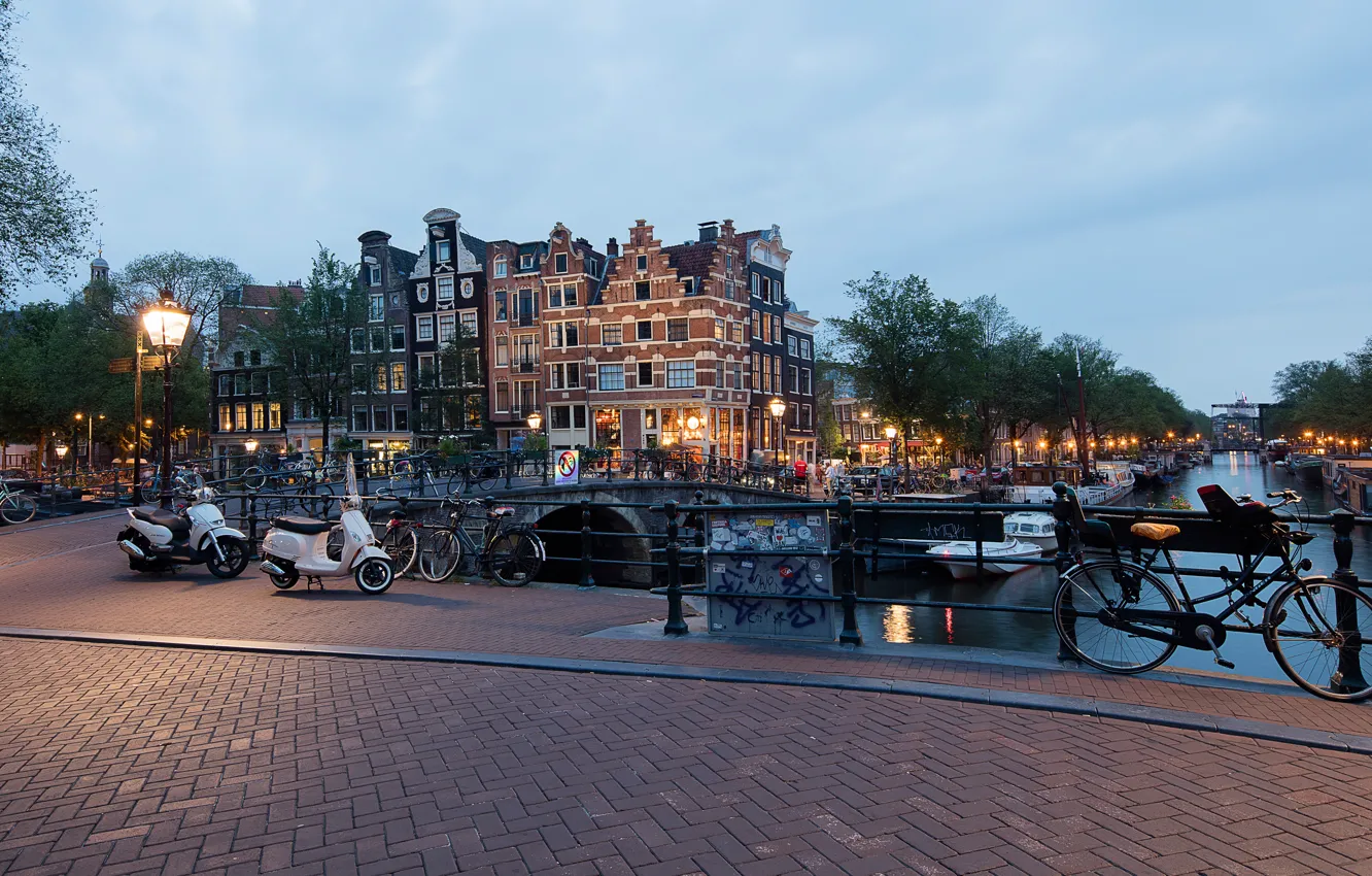 Photo wallpaper trees, lights, river, home, yachts, the evening, Amsterdam, lights