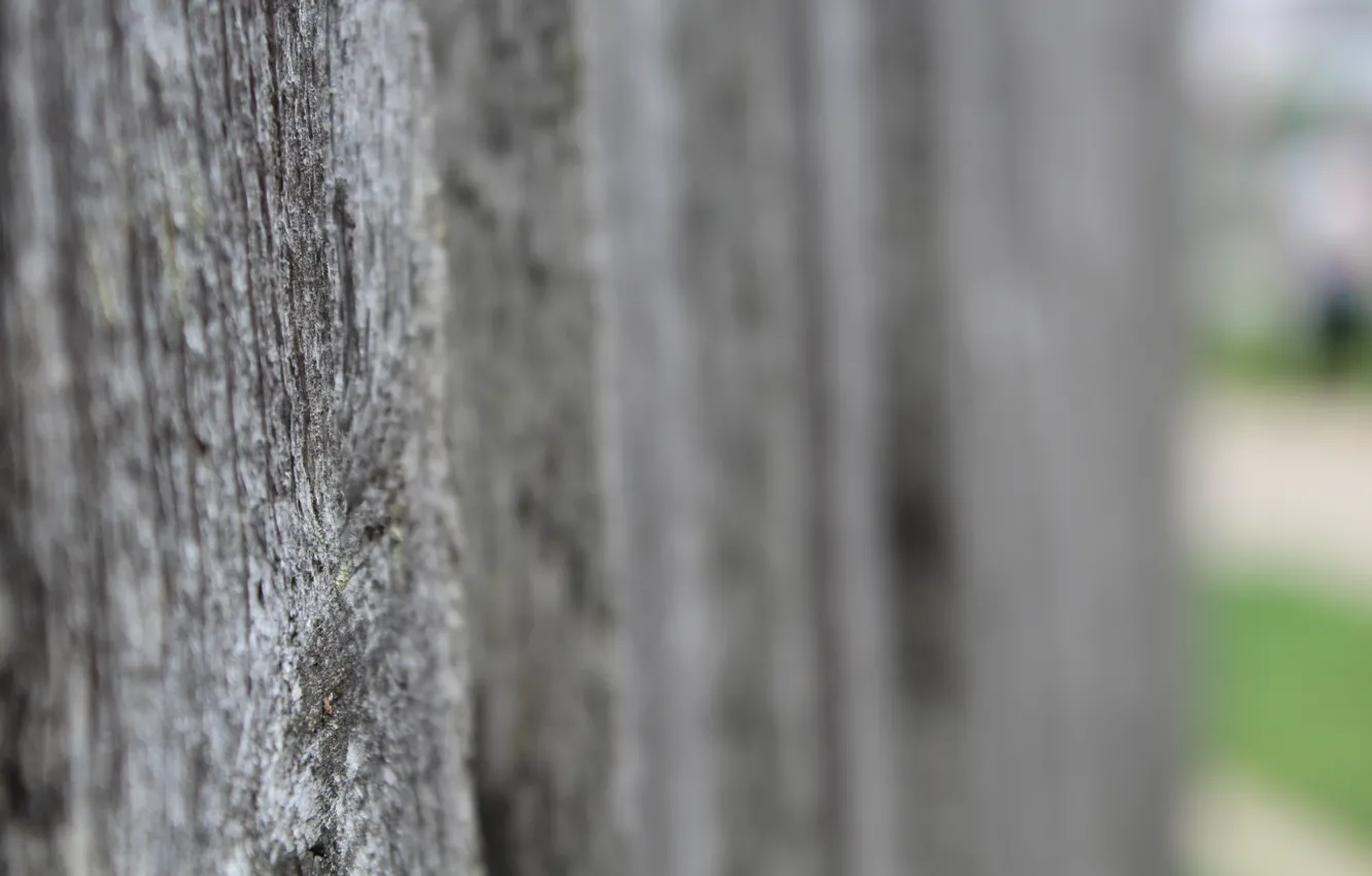Photo wallpaper macro, the fence, wooden