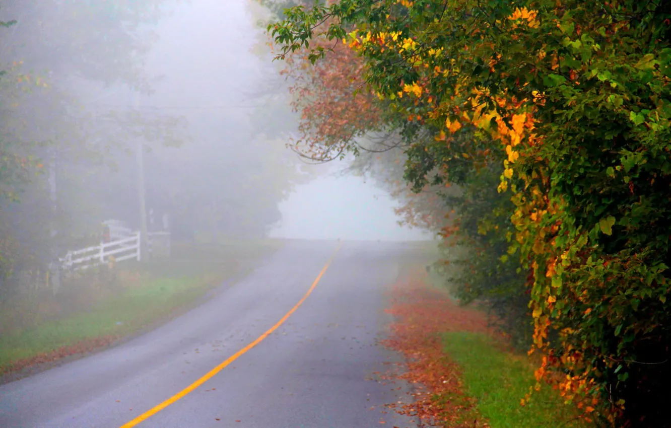 Photo wallpaper autumn, asphalt, fog, markup
