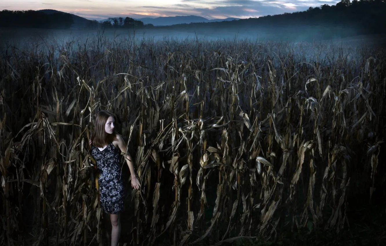 Photo wallpaper girl, night, corn