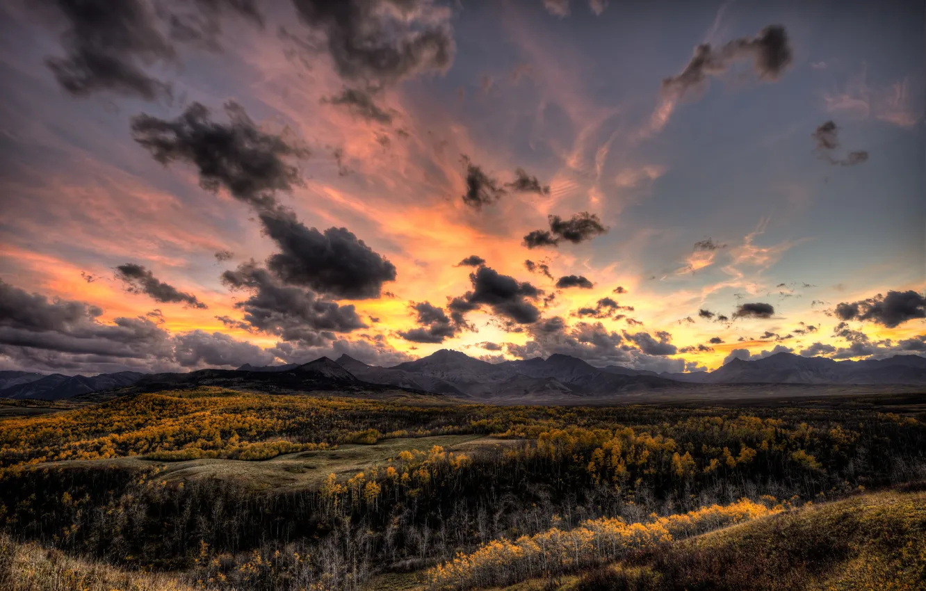 Photo wallpaper field, the sky, landscape
