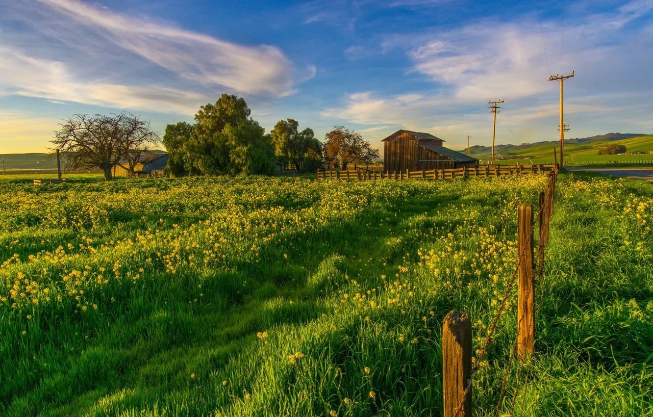 Photo wallpaper greens, grass, trees, posts, the fence, field, the barn, CA