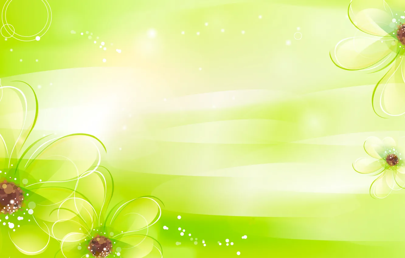Photo wallpaper flowers, green, petals