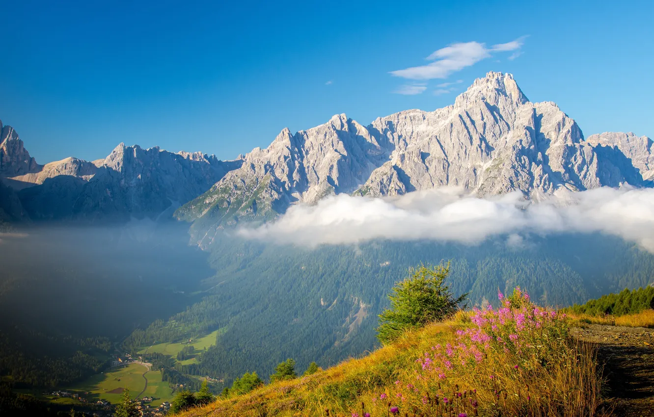 Photo wallpaper the sky, grass, clouds, flowers, mountains, rocks, height, trail