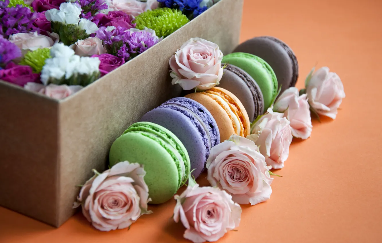 Photo wallpaper box, roses, cake, macaroon