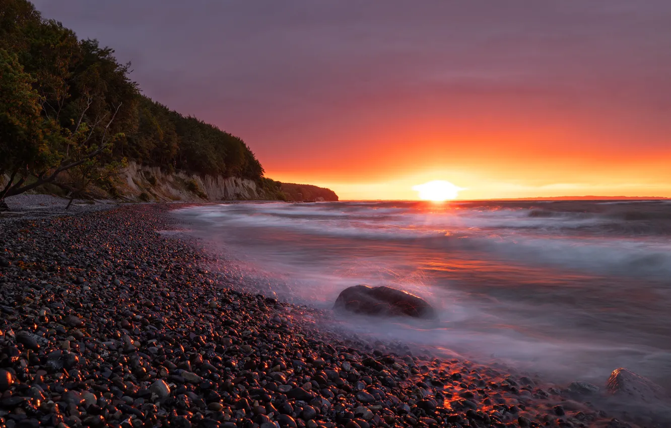 Photo wallpaper sea, wave, forest, beach, the sky, the sun, light, sunset