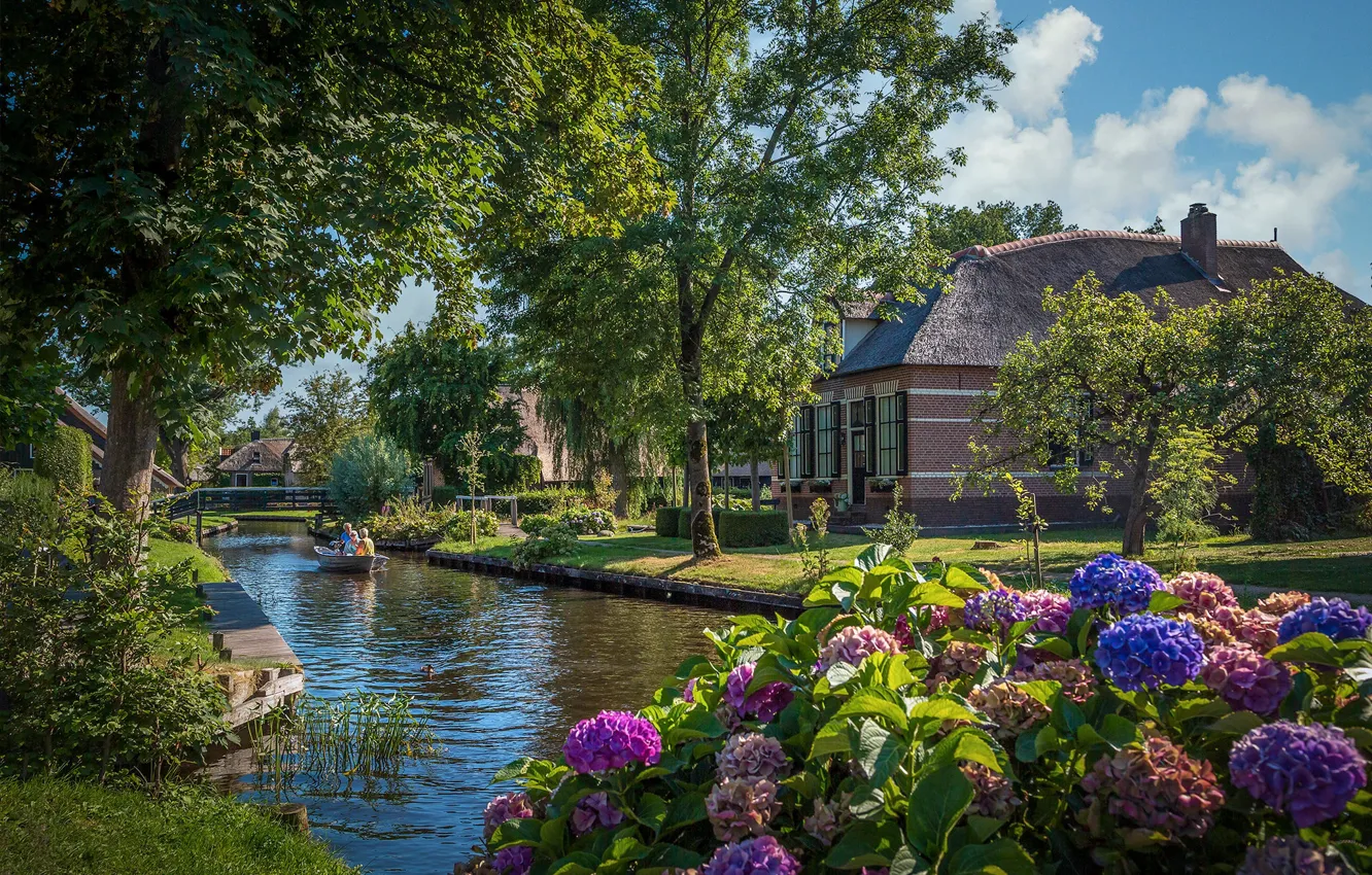 Photo wallpaper summer, the sky, clouds, trees, landscape, flowers, branches, nature
