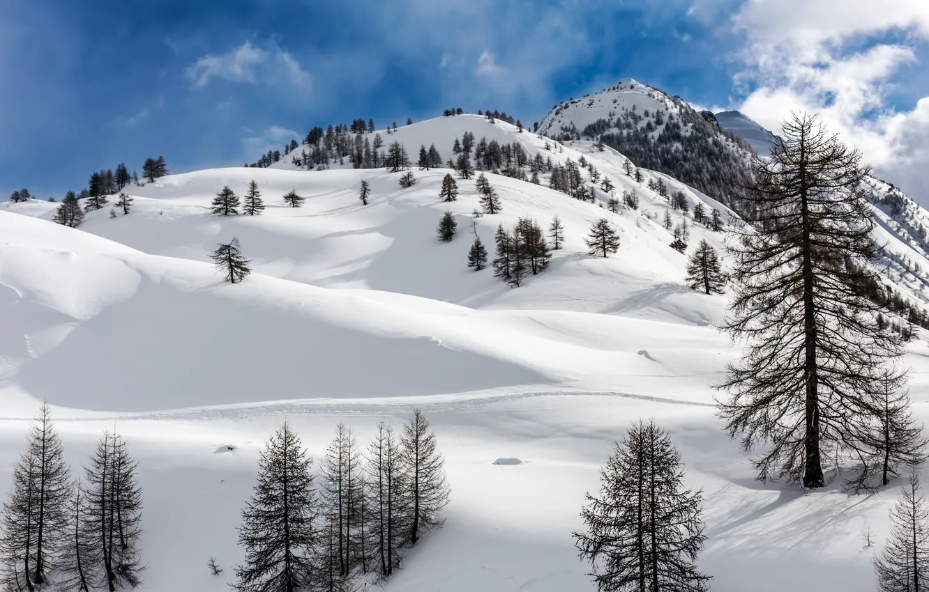 Photo wallpaper winter, snow, trees, landscape, mountains, tree, village, forest