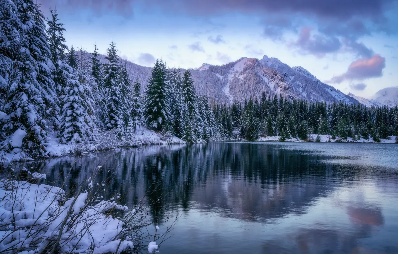 Photo wallpaper winter, forest, snow, landscape, mountains, nature, lake, beauty