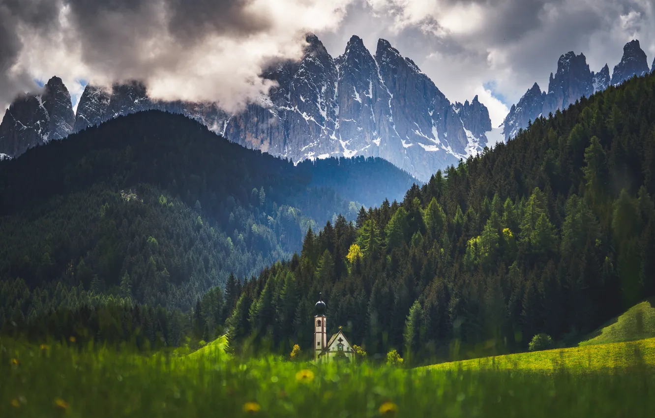 Photo wallpaper field, forest, grass, clouds, mountains, tops, slope, Alps