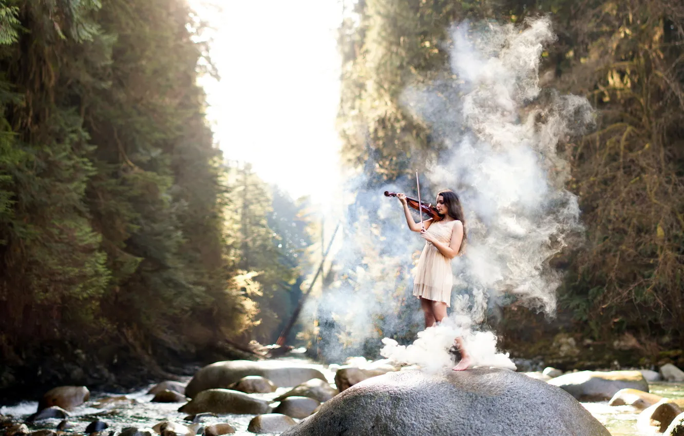 Photo wallpaper girl, music, violin, smoke