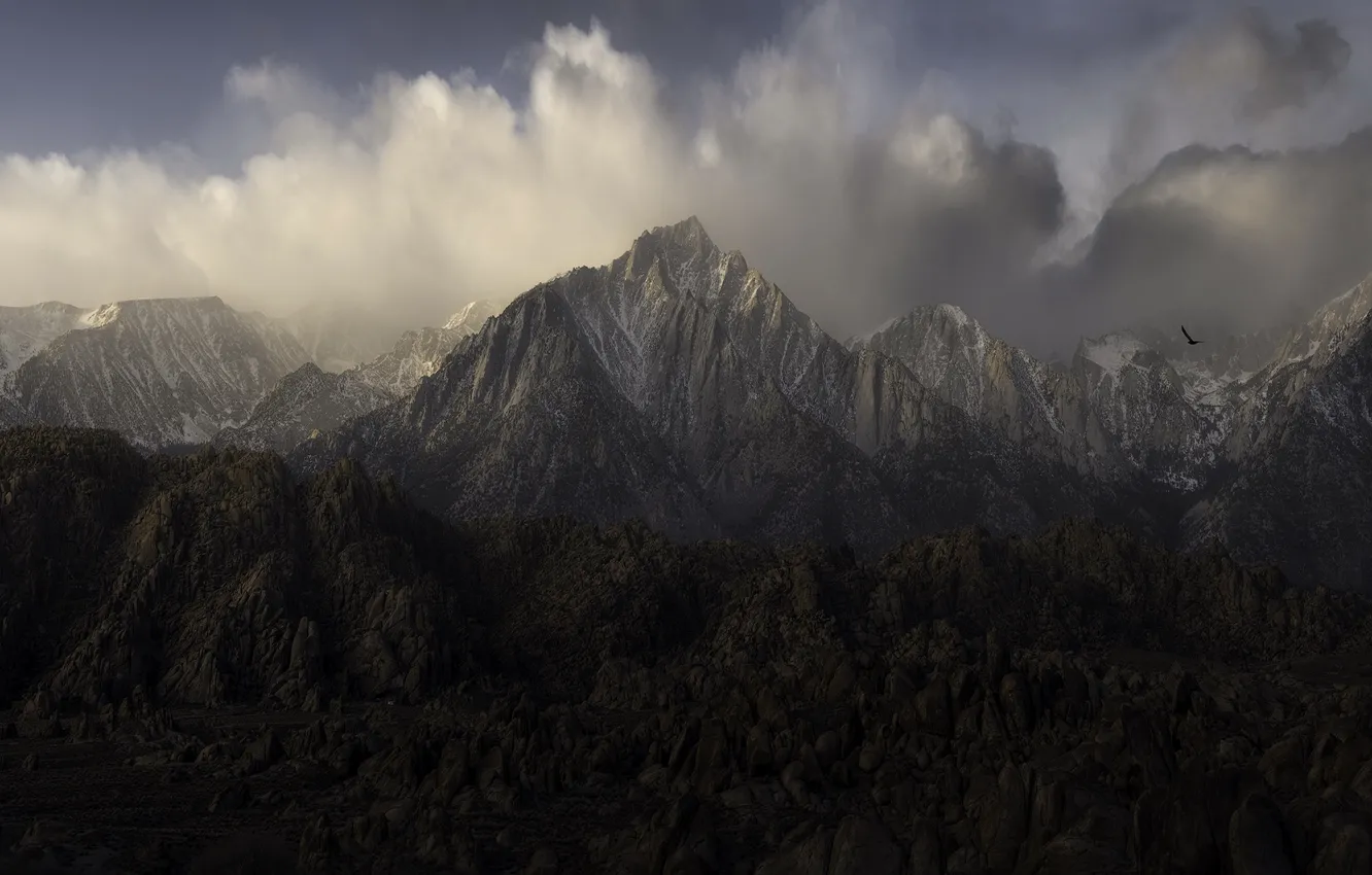 Photo wallpaper clouds, flight, mountains, fog, stones, overcast, rocks, bird