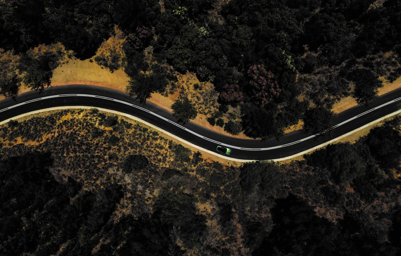 Photo wallpaper road, vegetation, car, the view from the top, Aston Martin DB12