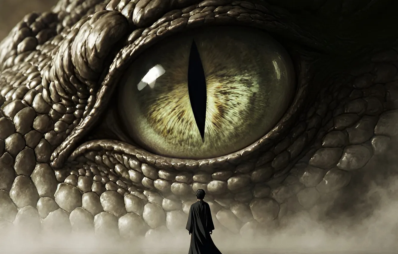 Photo wallpaper anime, man, dragon, rendering, Huge