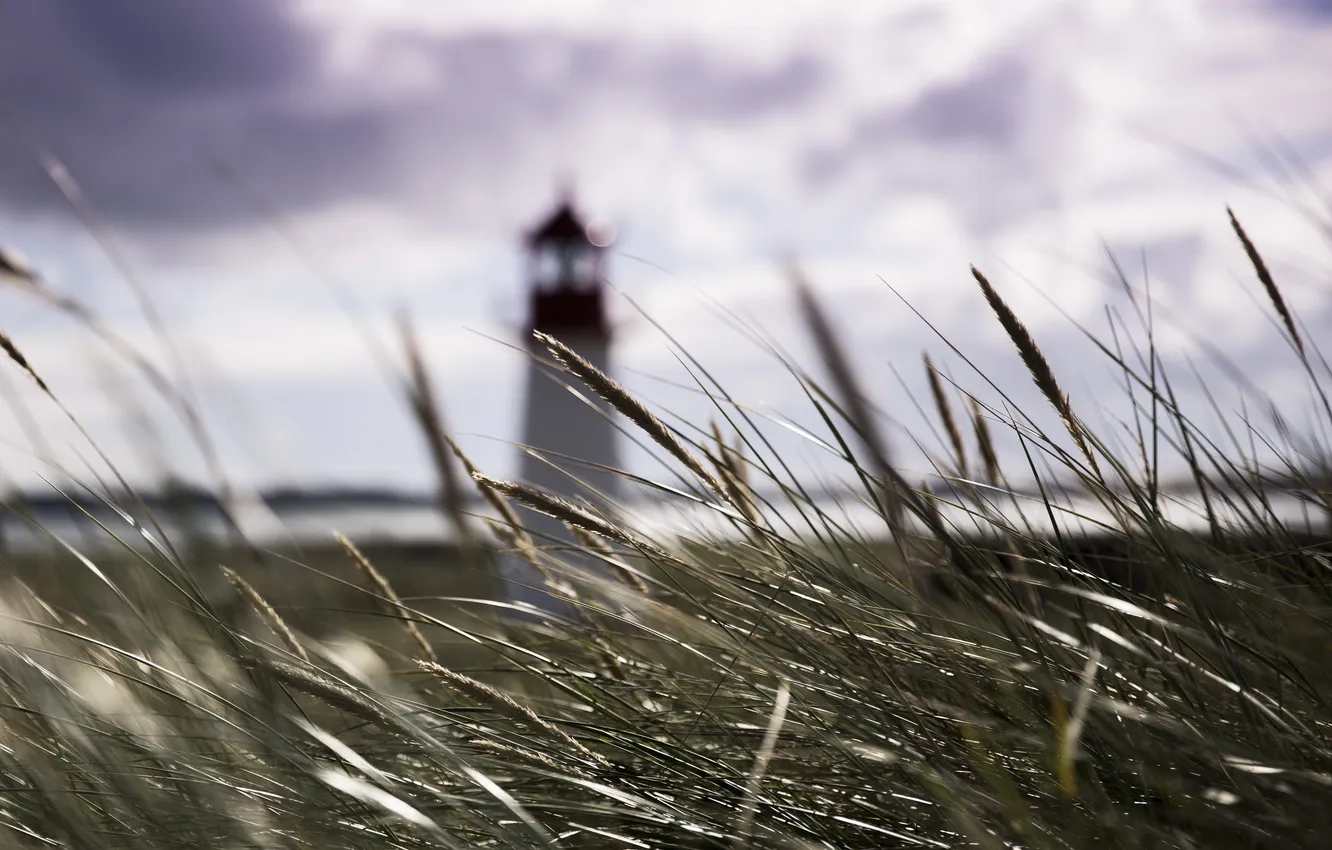 Photo wallpaper the sky, grass, lighthouse