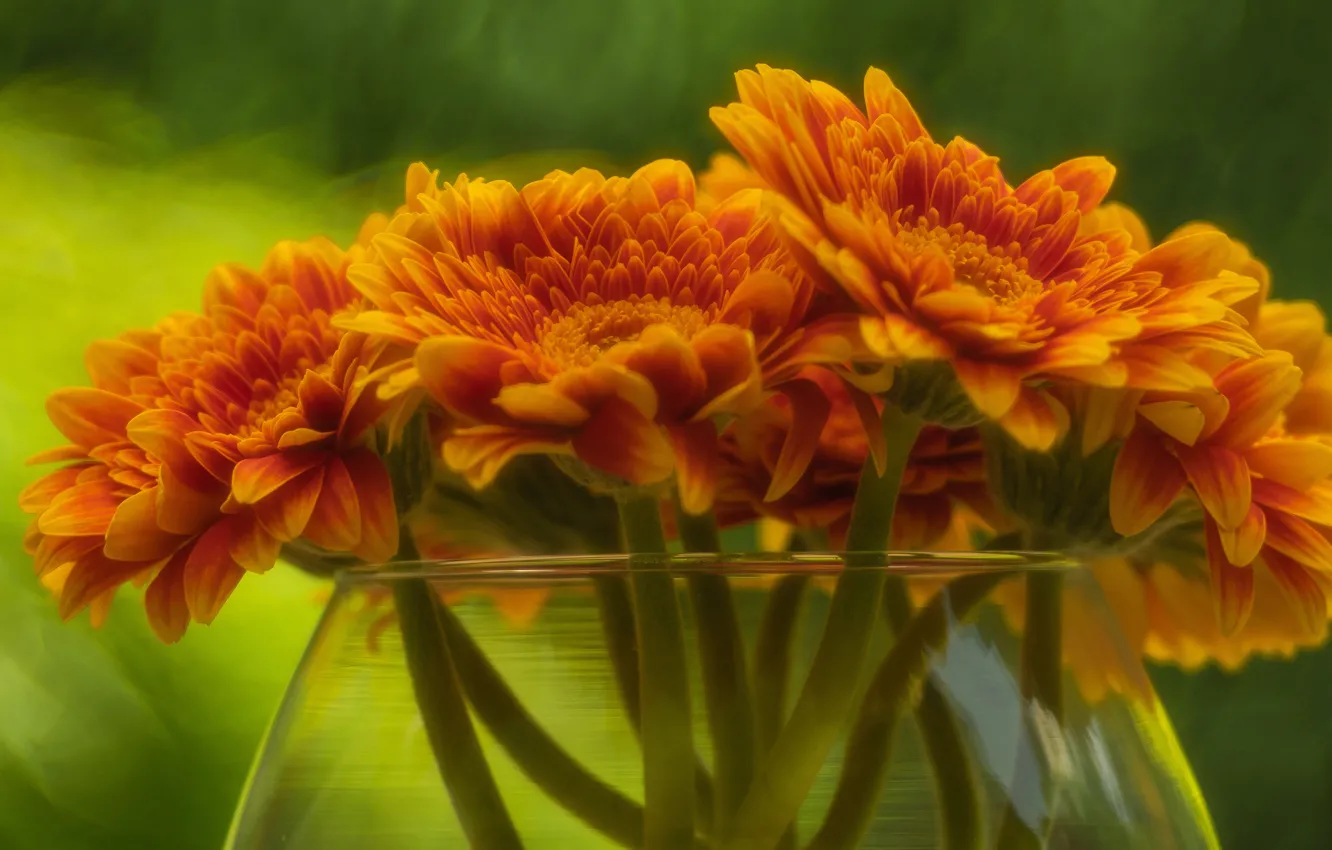 Photo wallpaper flowers, orange, bouquet, vase, gerbera