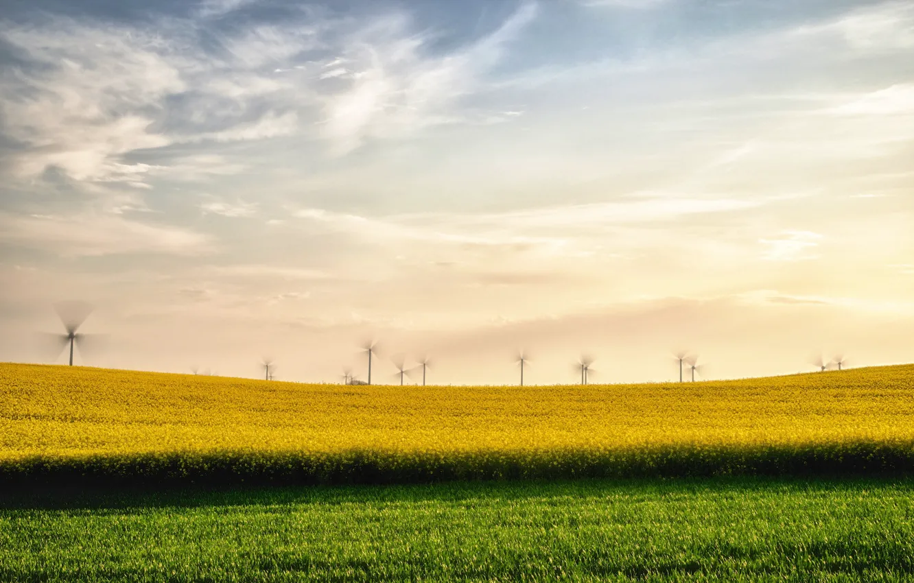 Photo wallpaper field, summer, landscape, windmills, rape