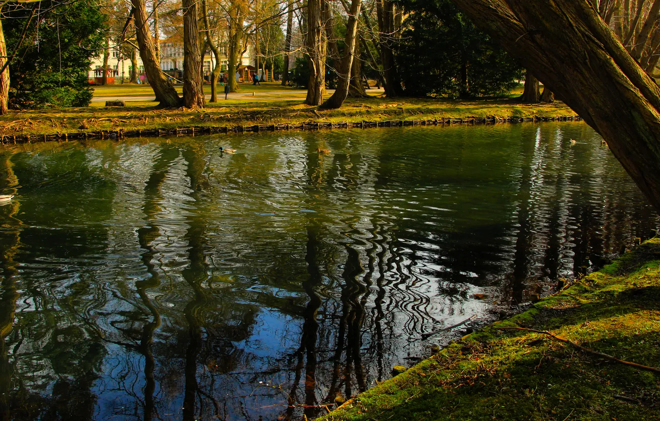 Photo wallpaper river, water, park, pond