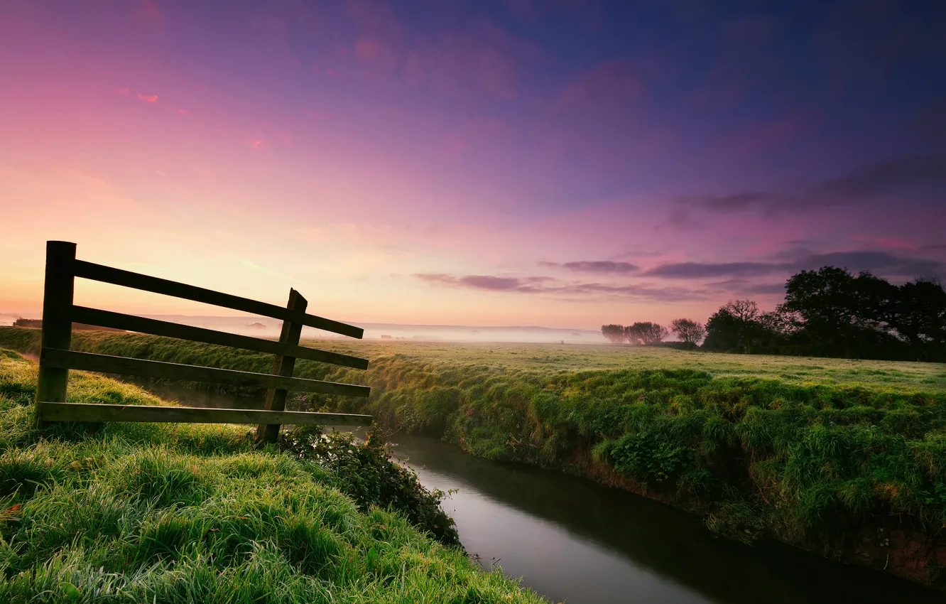 Photo wallpaper grass, trees, nature, fog, Rosa, river, the fence, morning