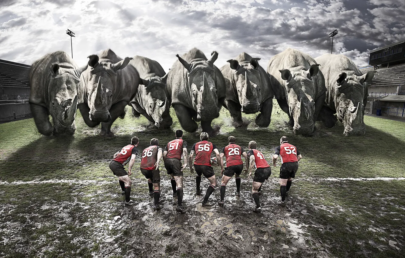 Photo wallpaper art, rugby, Rugby