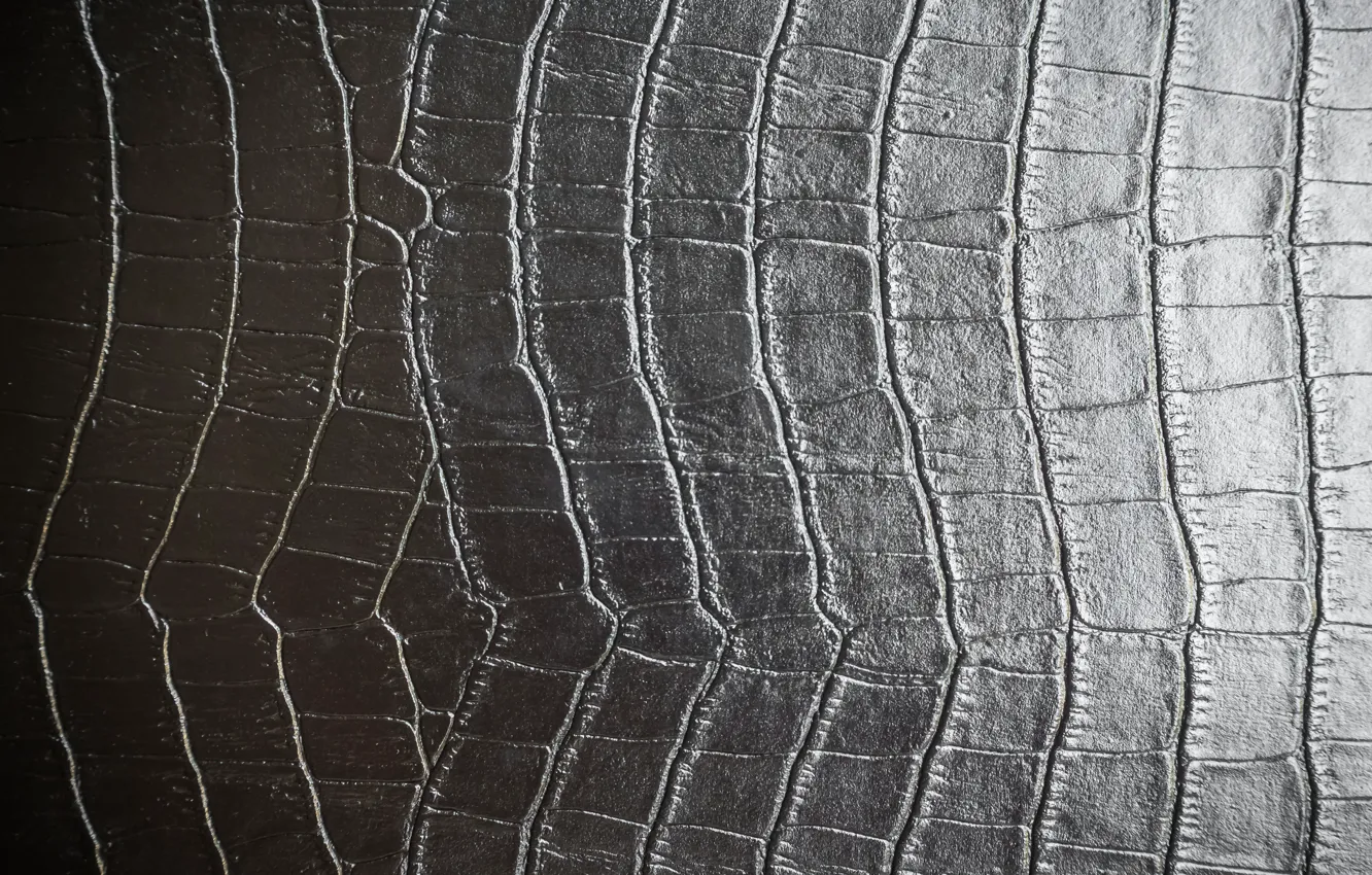 Photo wallpaper black, texture, leather