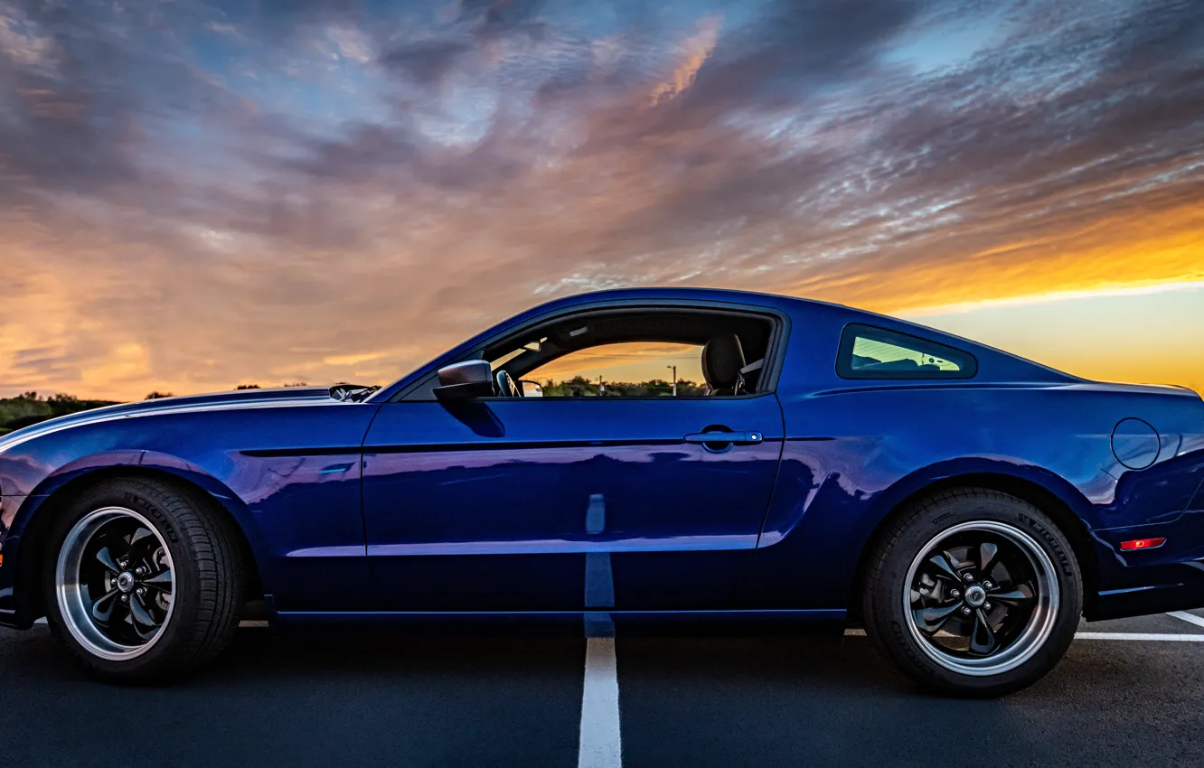 Photo wallpaper side view, Muscle car, Pony Car, 2014 Ford Mustang