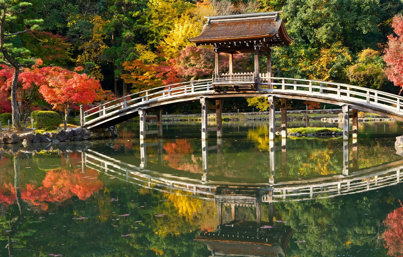Photo wallpaper roof, autumn, light, trees, lake, pond, style, Park