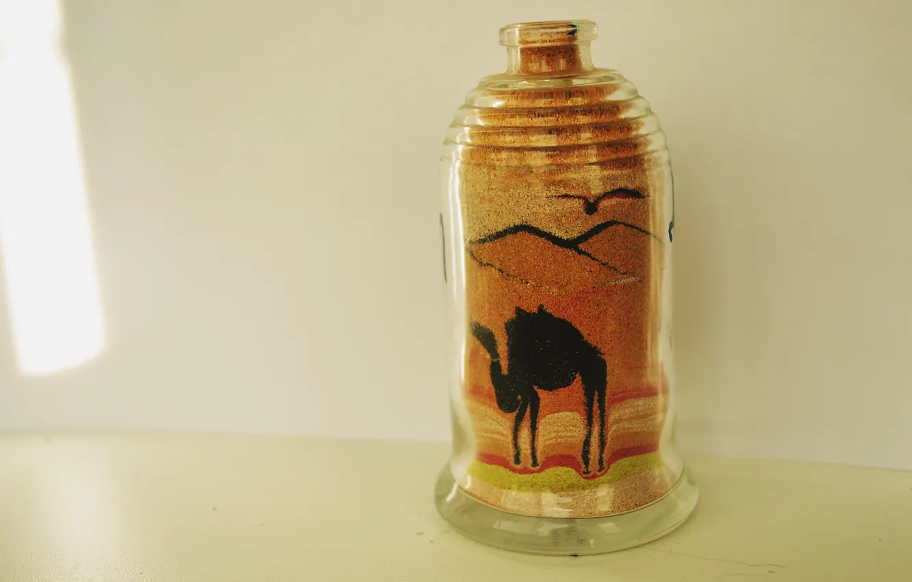 Photo wallpaper black, camel, bottle