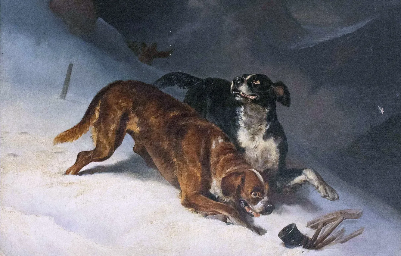Photo wallpaper Winter, Mountains, Snow, People, Picture, Dogs, German artist, Dogs with a search group