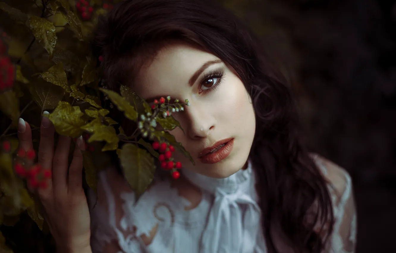 Photo wallpaper sponge, berry, kassio. epia